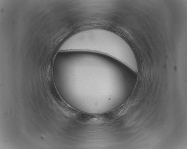 X0000068830364200605050924