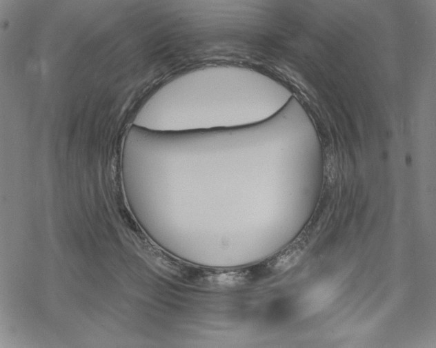 X0000068830365200605050924