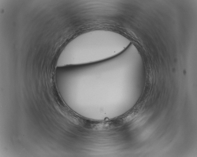 X0000068830366200605050924