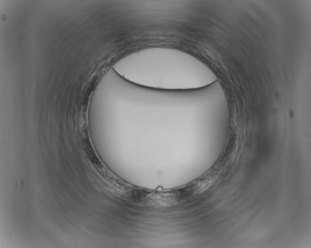 X0000068830367200605050924