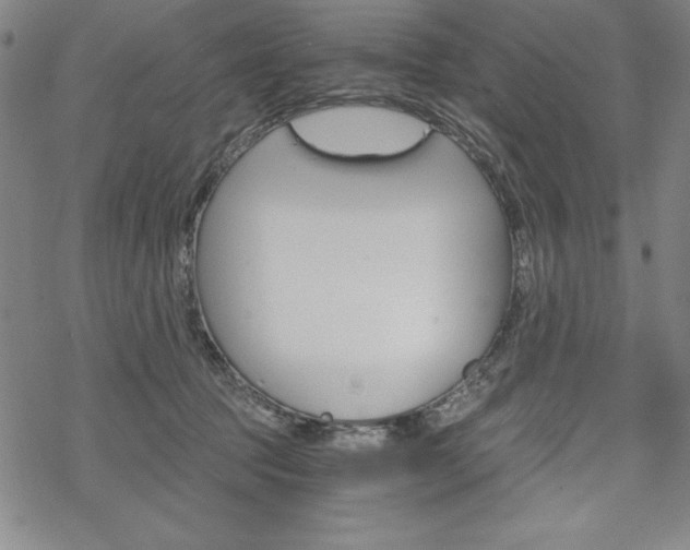 X0000068830369200605050924