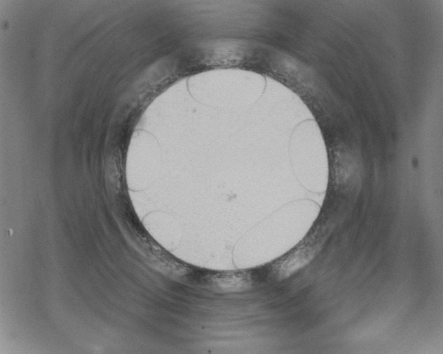 X0000068830370200605050924