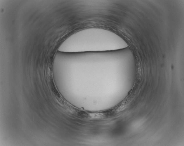 X0000068830371200605050924