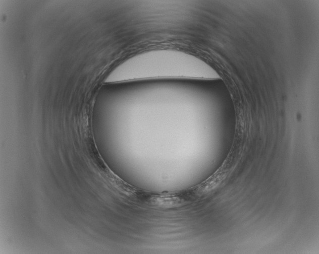 X0000068830372200605050924