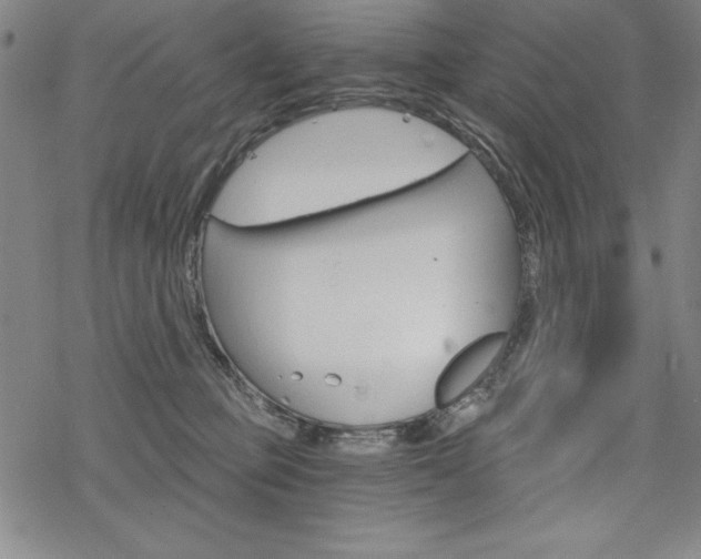 X0000068830373200605050924