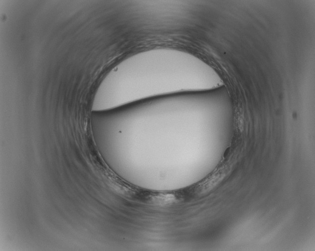 X0000068830374200605050924