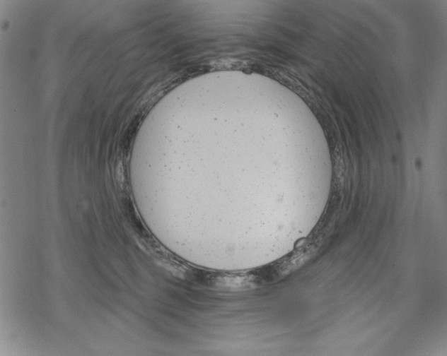 X0000068830375200605050924