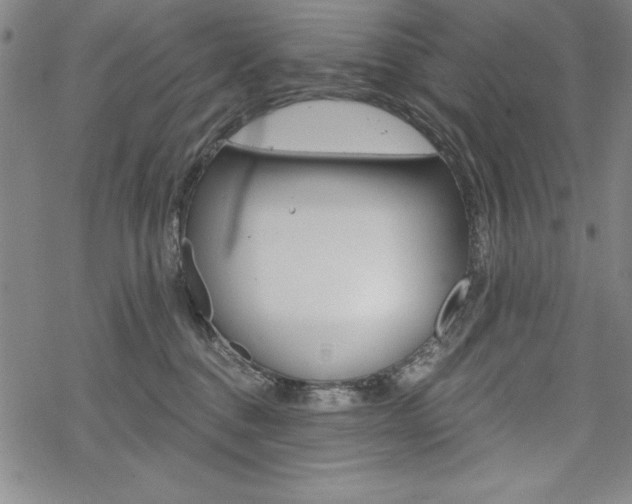 X0000068830376200605050924