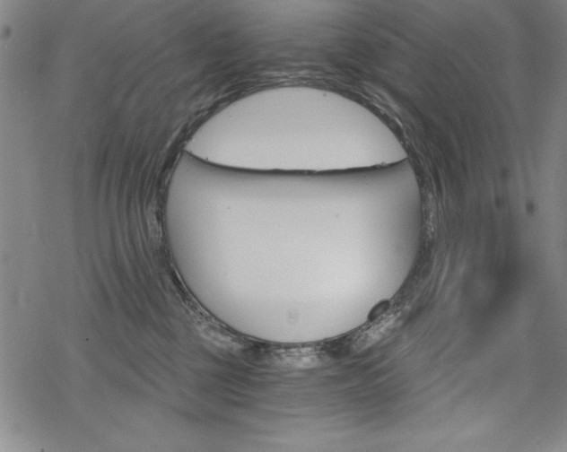 X0000068830377200605050924