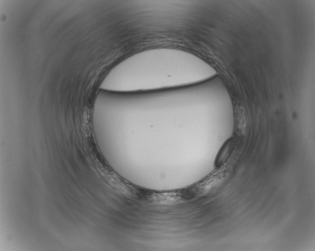 X0000068830378200605050924