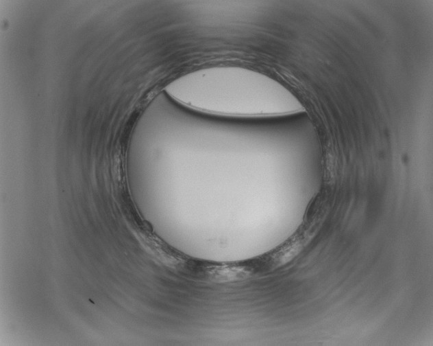 X0000068830379200605050924