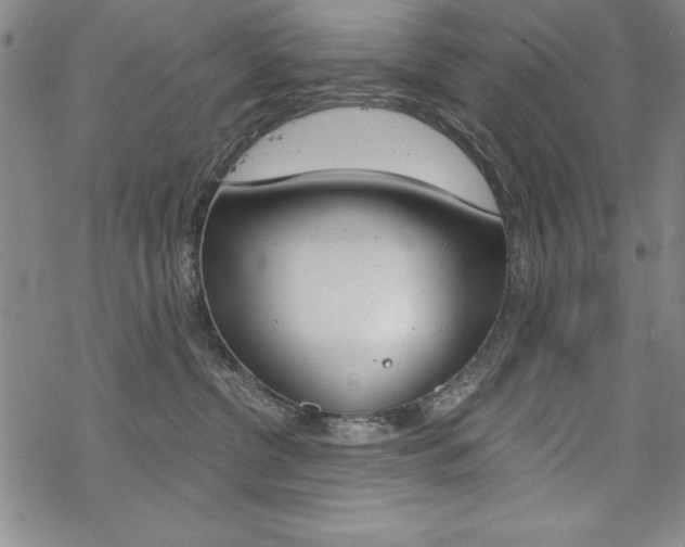 X0000068830380200605050924