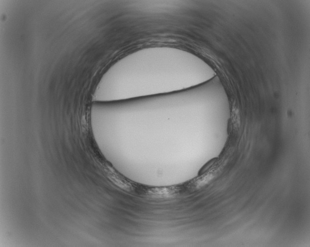 X0000068830381200605050924