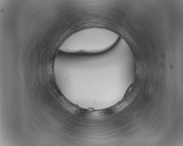 X0000068830382200605050924