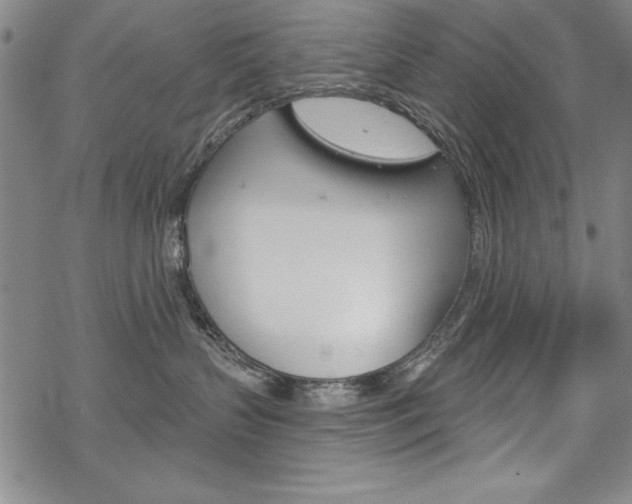 X0000068830383200605050924