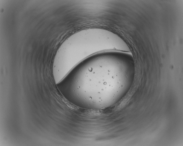 X0000068830384200605050924