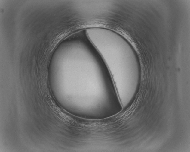 X0000068830385200605050923