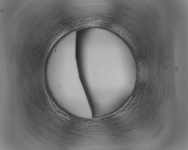 X0000068830386200605050923