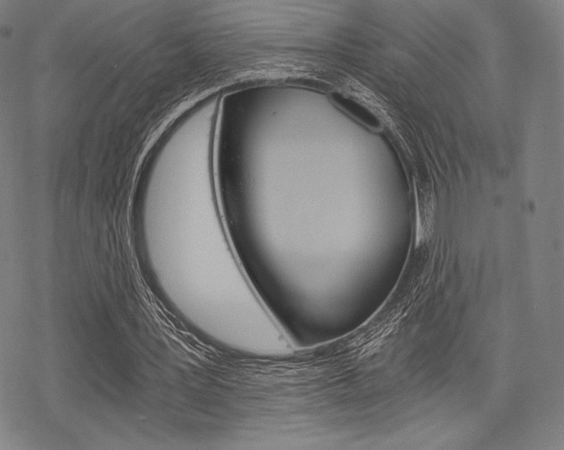 X0000068830387200605050923