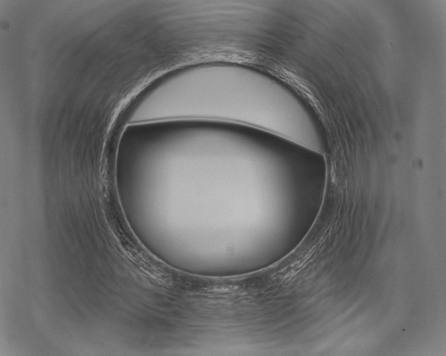 X0000068830388200605050923