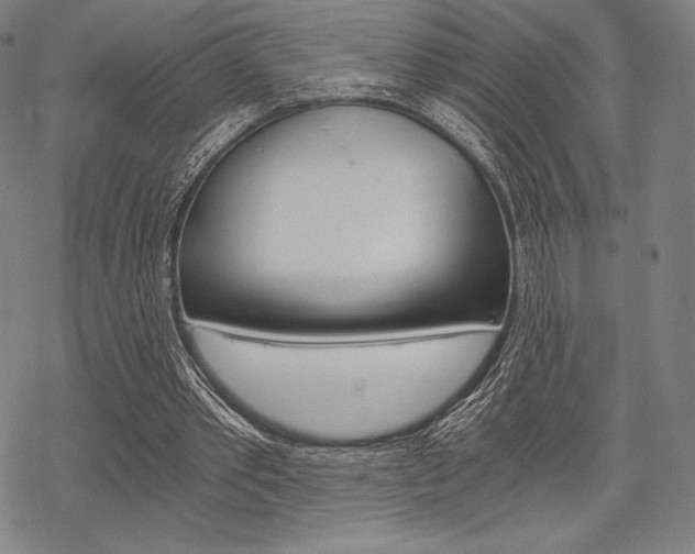 X0000068830389200605050923