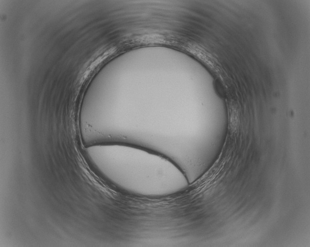 X0000068830390200605050923