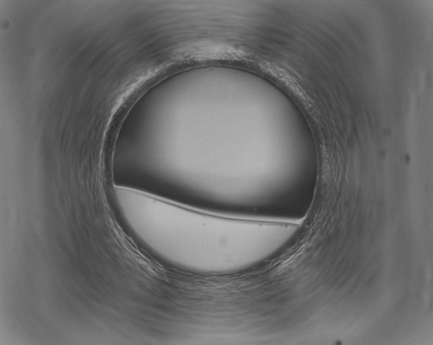 X0000068830391200605050923