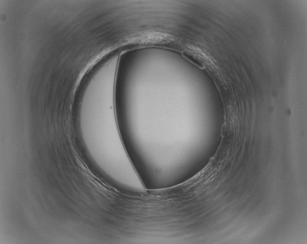 X0000068830392200605050923