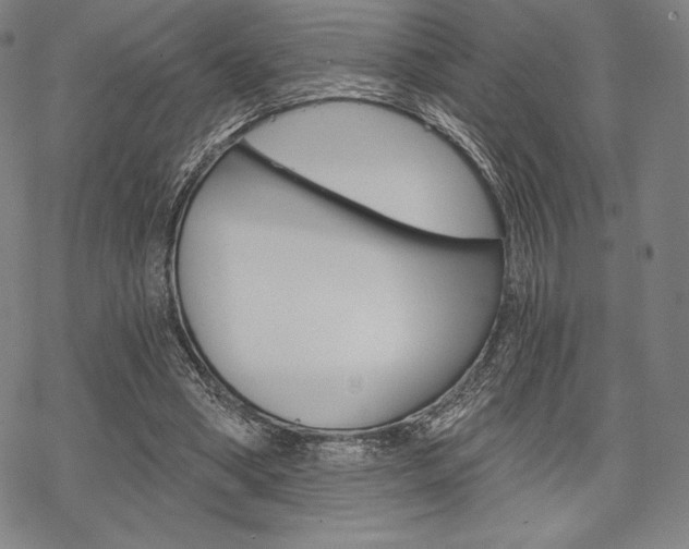 X0000068830394200605050923