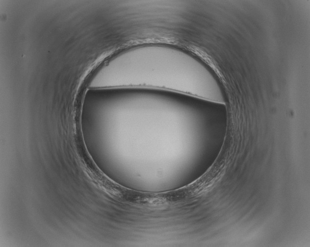 X0000068830395200605050923