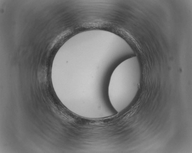 X0000068830396200605050923