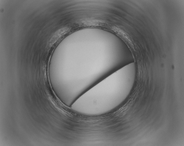 X0000068830398200605050923