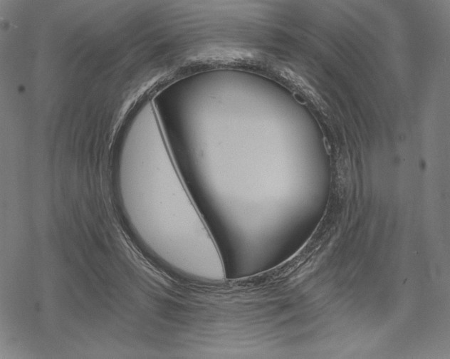 X0000068830399200605050923