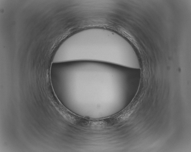 X0000068830401200605050923