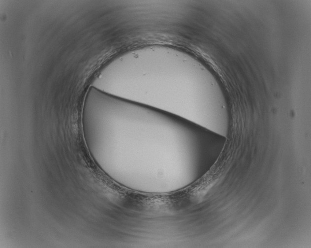 X0000068830402200605050923