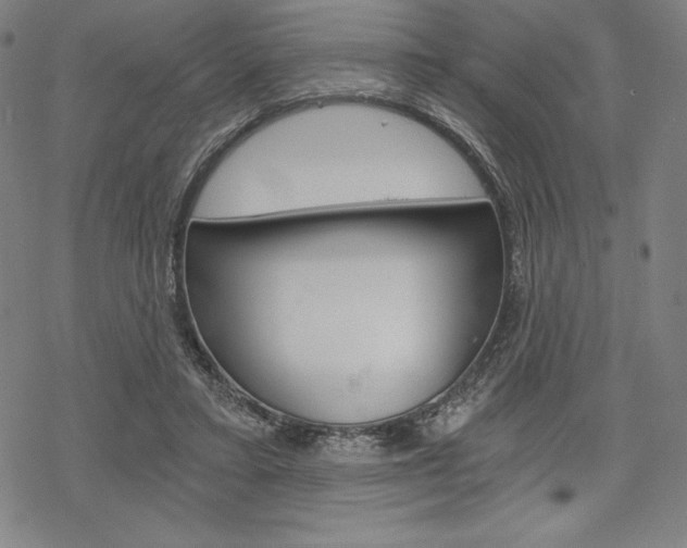 X0000068830403200605050923