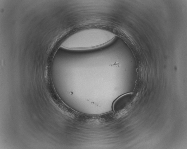 X0000068830404200605050923