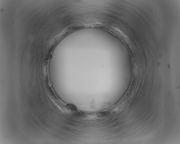 X0000068830405200605050923