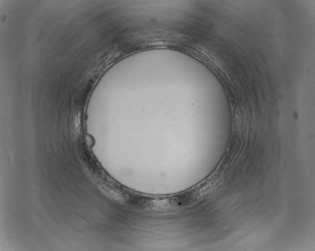 X0000068830406200605050923