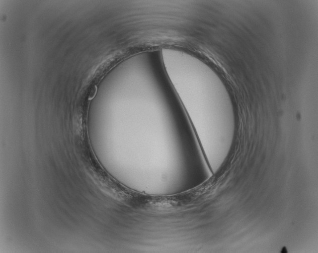 X0000068830407200605050923