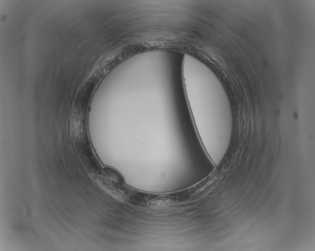 X0000068830408200605050923