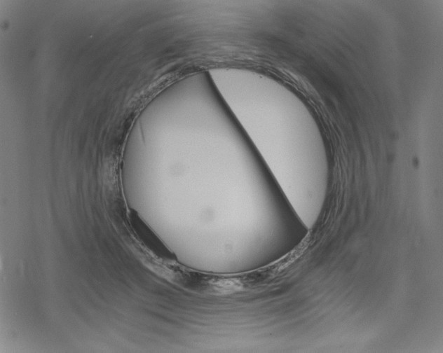 X0000068830409200605050923