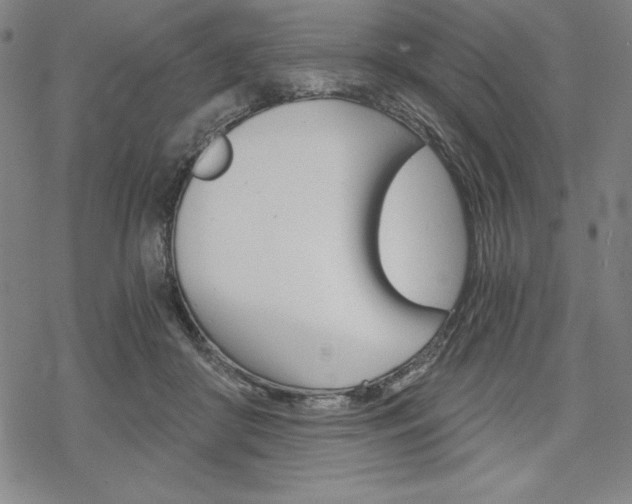 X0000068830410200605050923