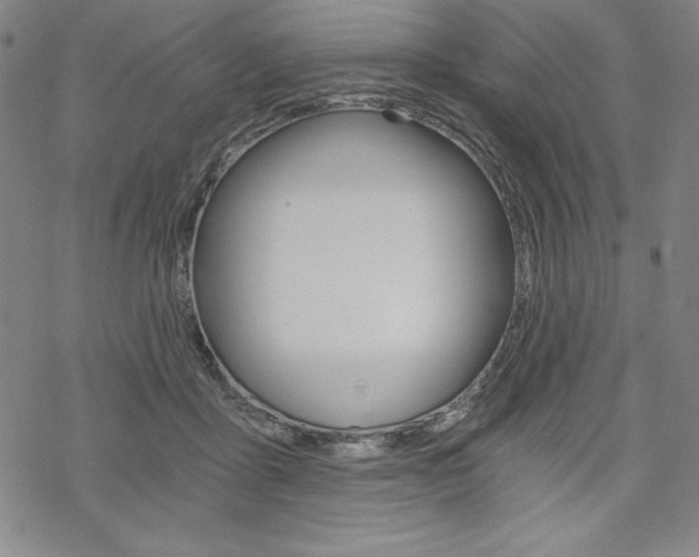 X0000068830411200605050923