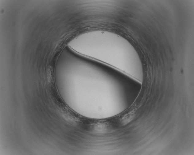 X0000068830412200605050923