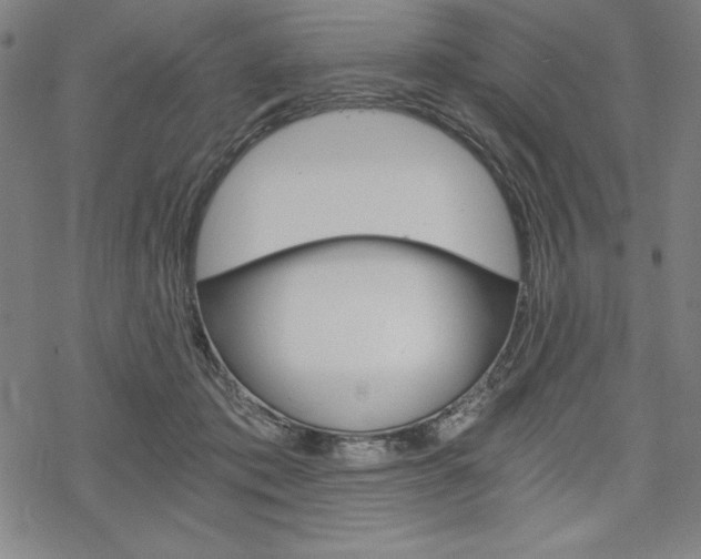 X0000068830413200605050923