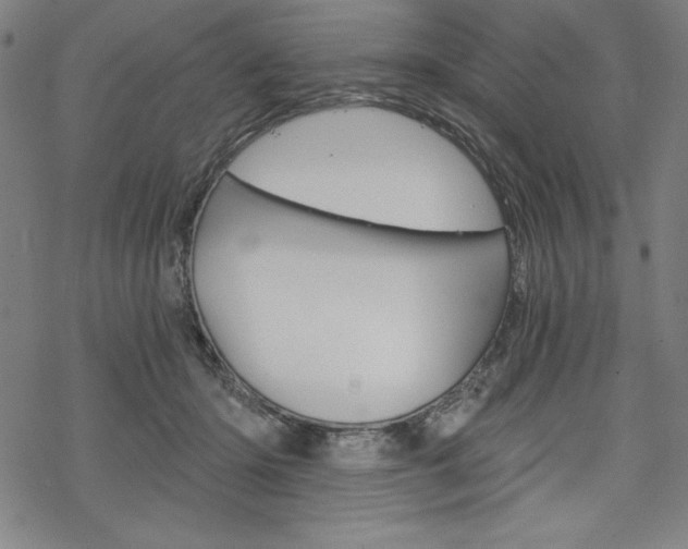 X0000068830414200605050923