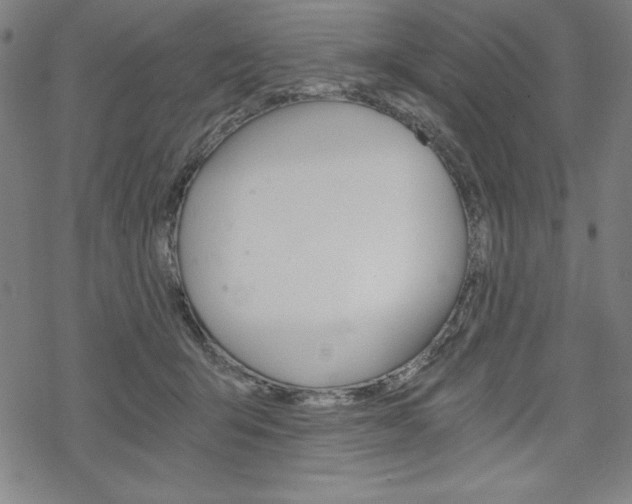 X0000068830415200605050923