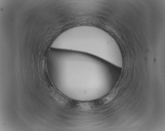 X0000068830417200605050923