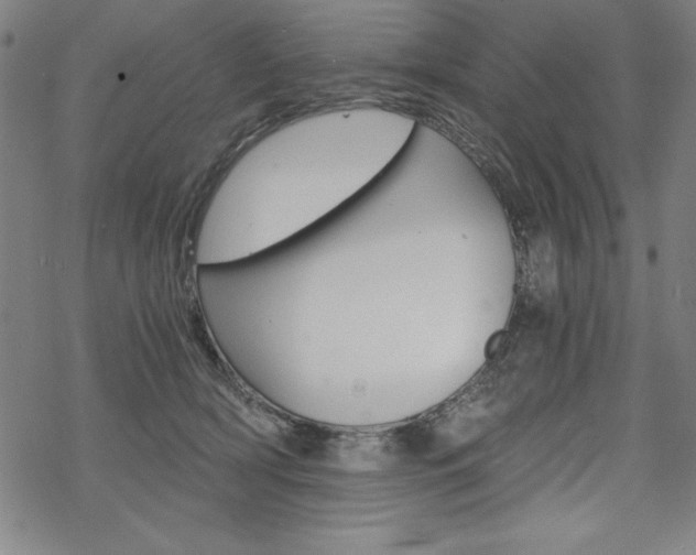 X0000068830418200605050923